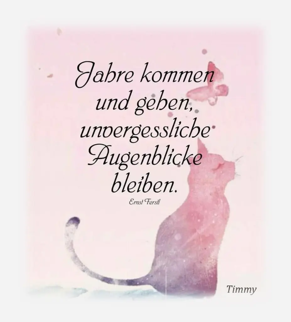 Condolence image of Sabine mit Kaspar tief im Herzen☸ڿڰۣ❤️