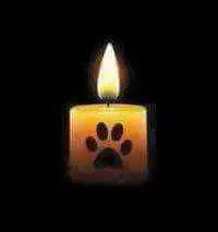 Condolence image of Ilse mit ihren geliebten Sternlein im Herzen