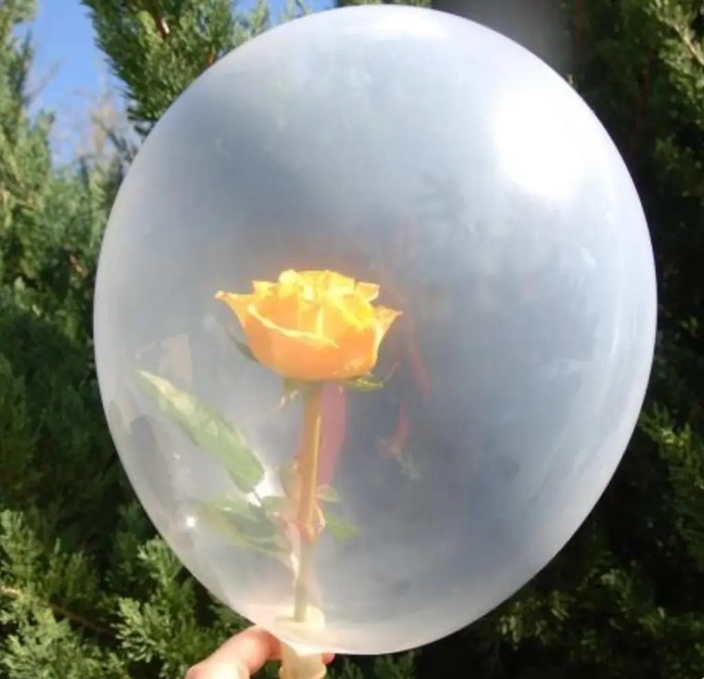 Condolence image of Pauline, Leonie und Daniela an Sternenprinz Timmy ❤️