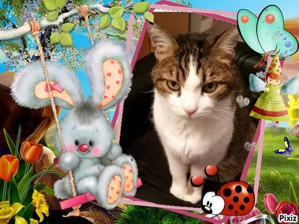 Condolence image of Patricia mit Bunny ❤️ 