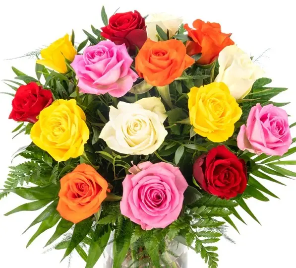 Condolence image of Elisabeth mit Marple im ♥