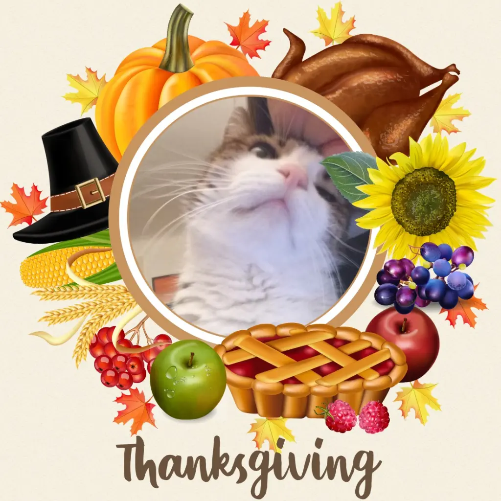 Condolence image of Sternchenpost ♥️