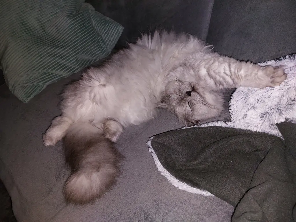 Condolence image of Daniela mit Pauline im ♥️