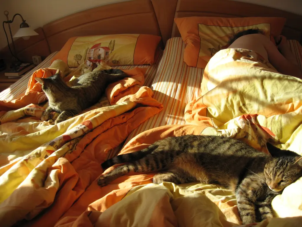 Condolence image of Elisabeth mit Marple im  ♥