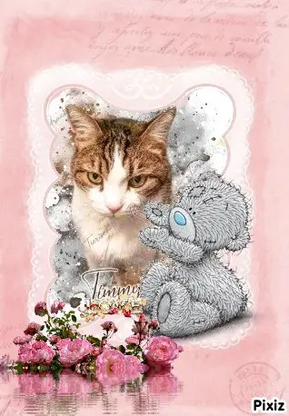 Condolence image of Patricia mit Bunny ❤️ 