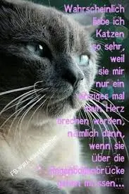 Condolence image of Annemarie und Elke mit Snoopy im Herzen gest.04.01.2022