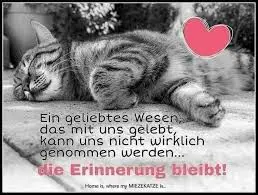 Condolence image of Annemarie und Elke mit Snoopy im Herzen gest.04.01.2022