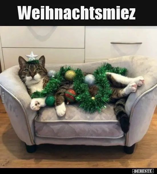 Condolence image of Sternchenpost ♥️