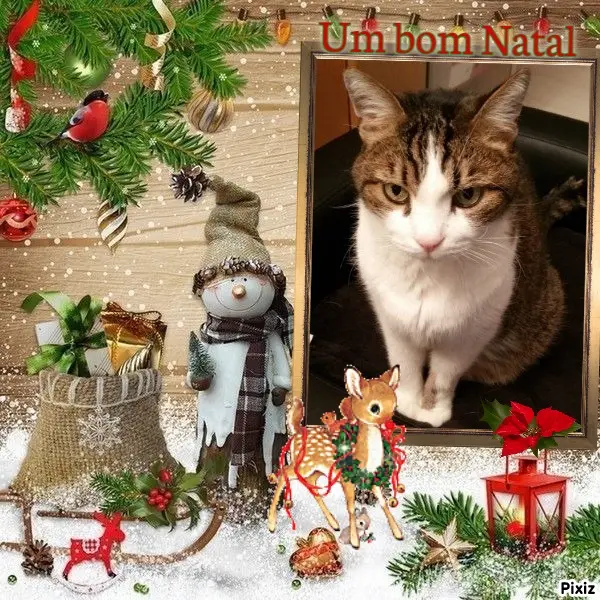 Condolence image of Patricia mit Bunny ❤️