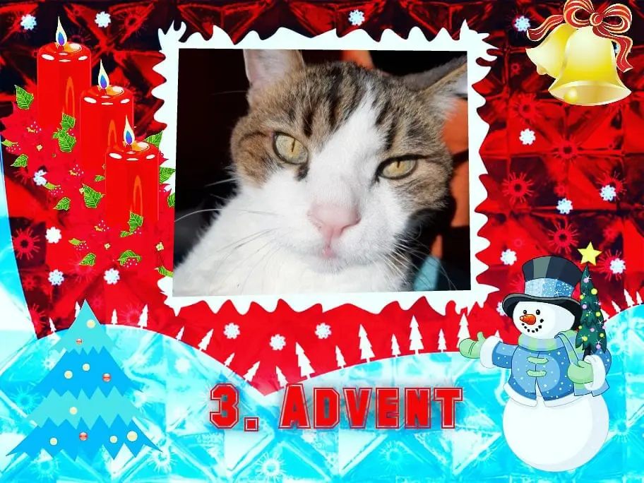 Condolence image of Andrea mit Minki im ♥️