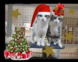 Condolence image of Jutta mit Flash im ❤️