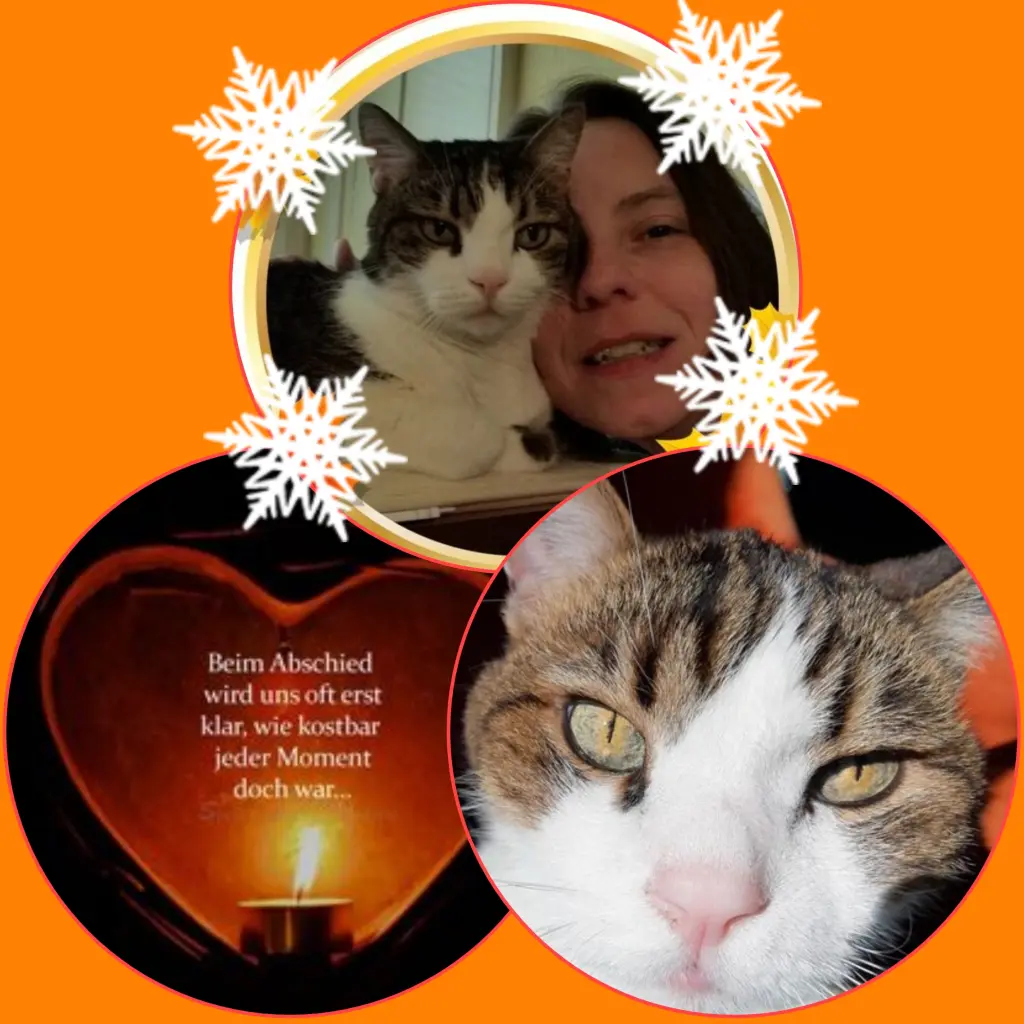 Condolence image of Corinna mit Emma, Pummelchen und anderen Sternleine im Herzen