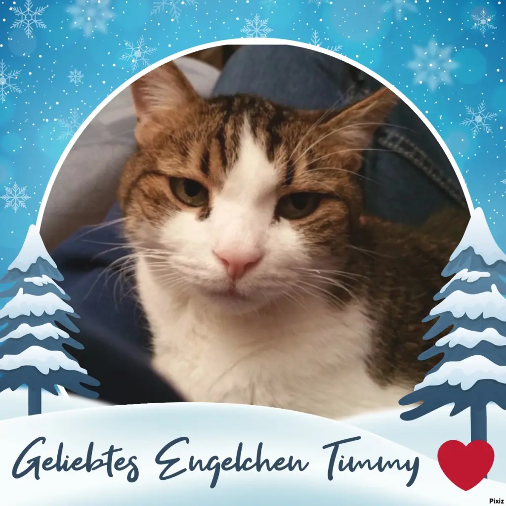 Condolence image of Sternchenpost ⭐