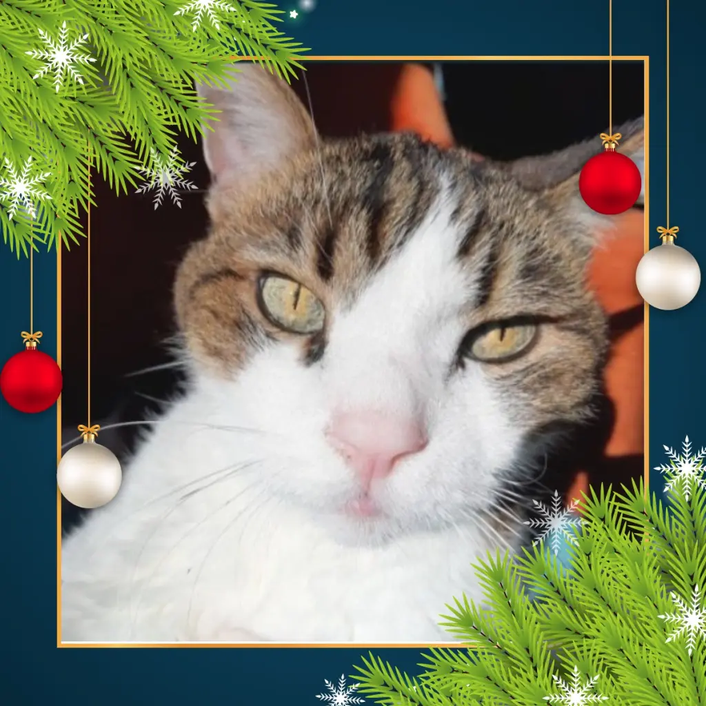 Condolence image of Andrea mit Minki im ♥️