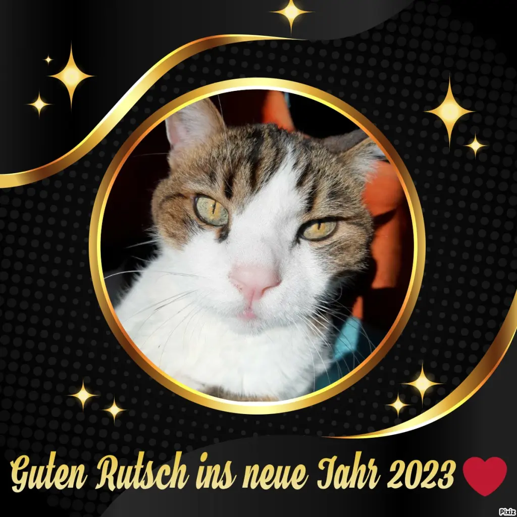 Condolence image of Deine Katzenmutti Tanja ❤