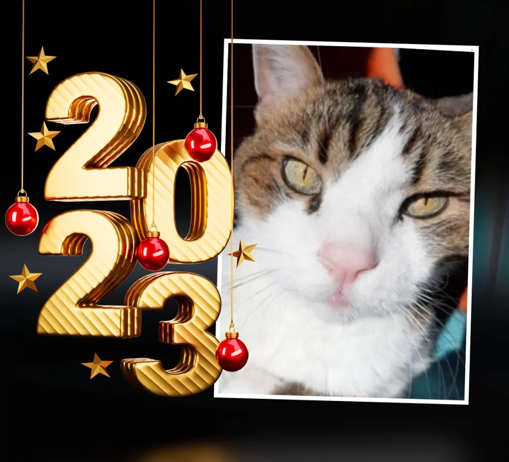 Condolence image of Sternchenpost ♥️