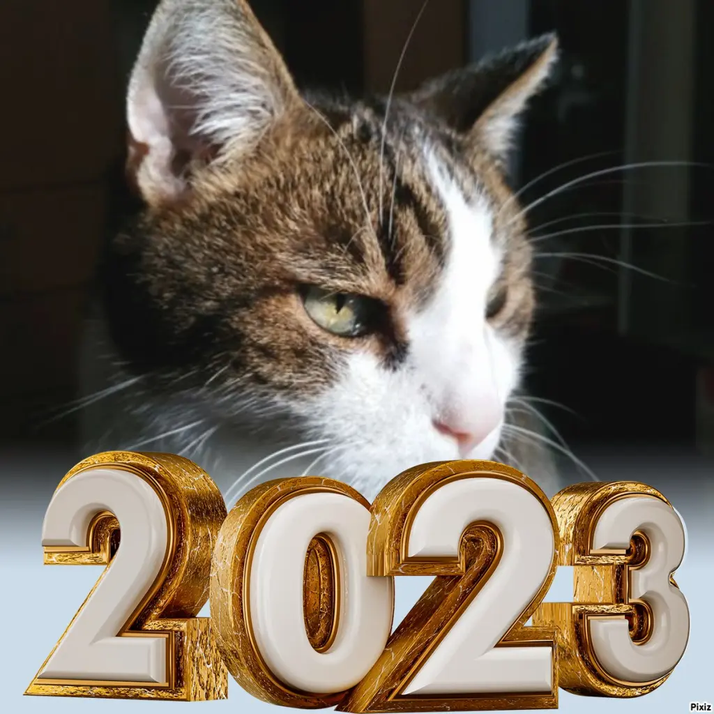 Condolence image of Neujahrsgrüße ❤️