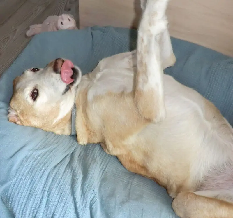 Condolence image of Manuela mit Noa