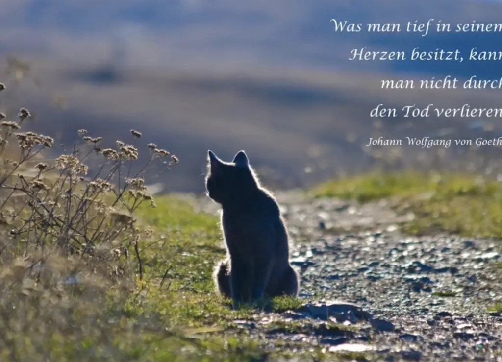 Condolence image of Sonja mit Emma und Benny