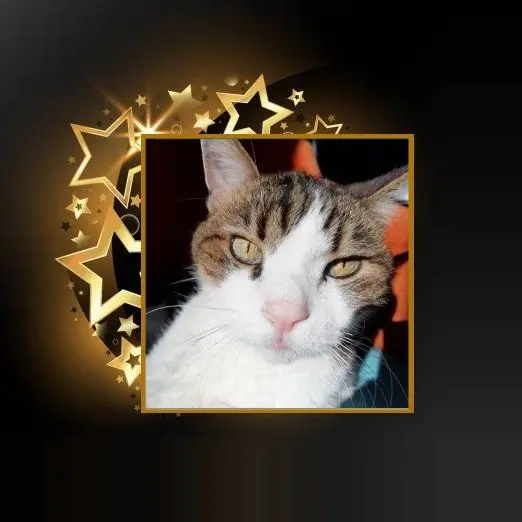 Condolence image of Andrea mit Minki im ♥️