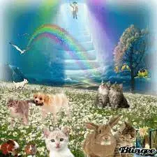 Condolence image of Elisabeth mit Marple und Arafat im ♥