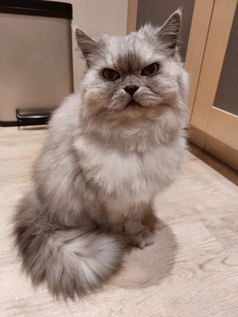 Condolence image of Daniela mit Pauline im ♥️