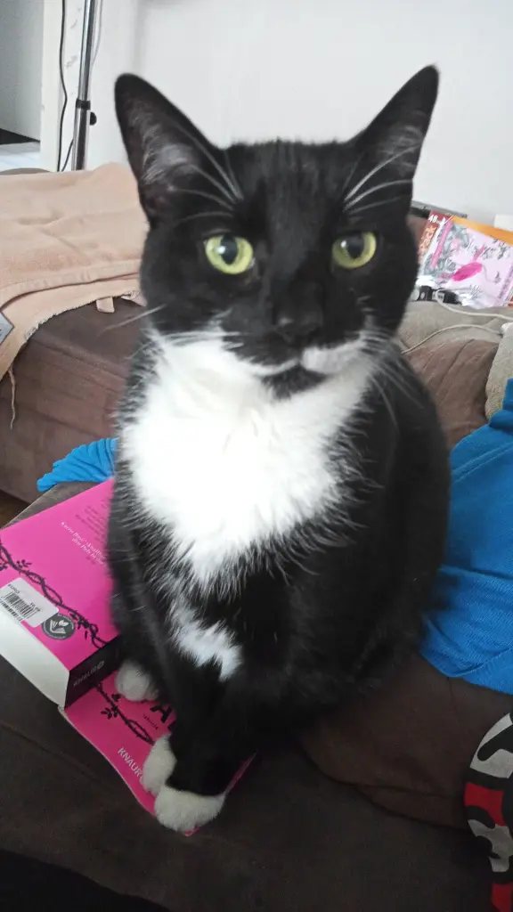 Condolence image of Stacy und Moppi