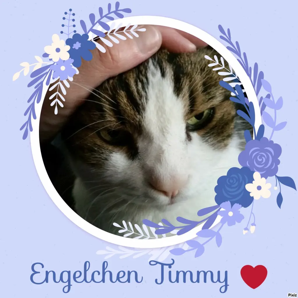 Condolence image of Deine Katzenmutti Tanja ❤