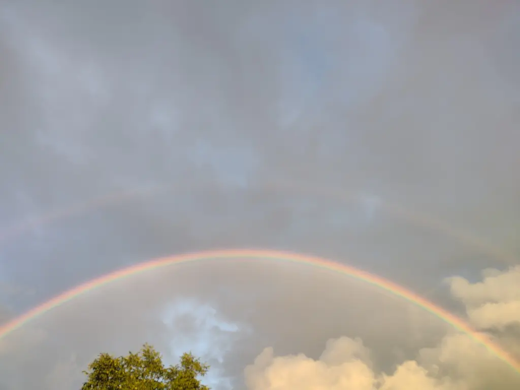 Condolence image of Corinna mit Emma, Pummelchen und anderen Sternlein im ❤️