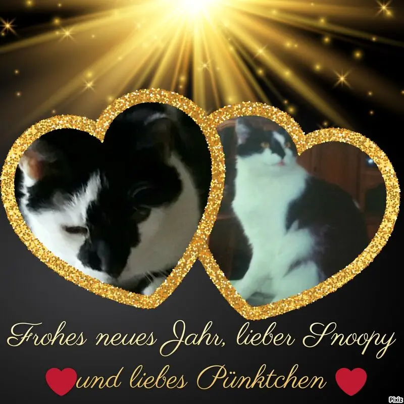 Condolence image of Annemarie und Elke mit Snoopy im Herzen gest.04.01.2022