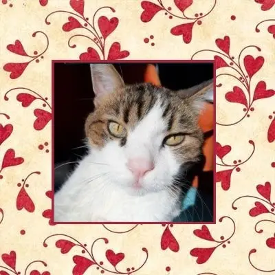 Condolence image of Andrea mit Minki im ♥️