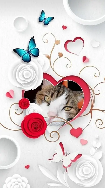 Condolence image of Post von Timmy ♥️