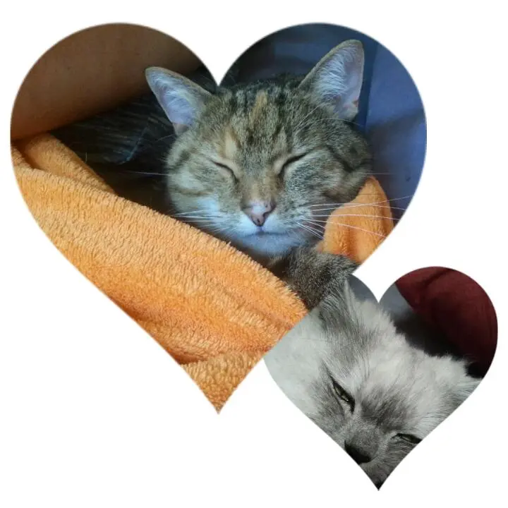 Condolence image of Daniela  mit Pauline im ♥️ 