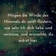 Condolence image of Snoopy ❤Pünktchen