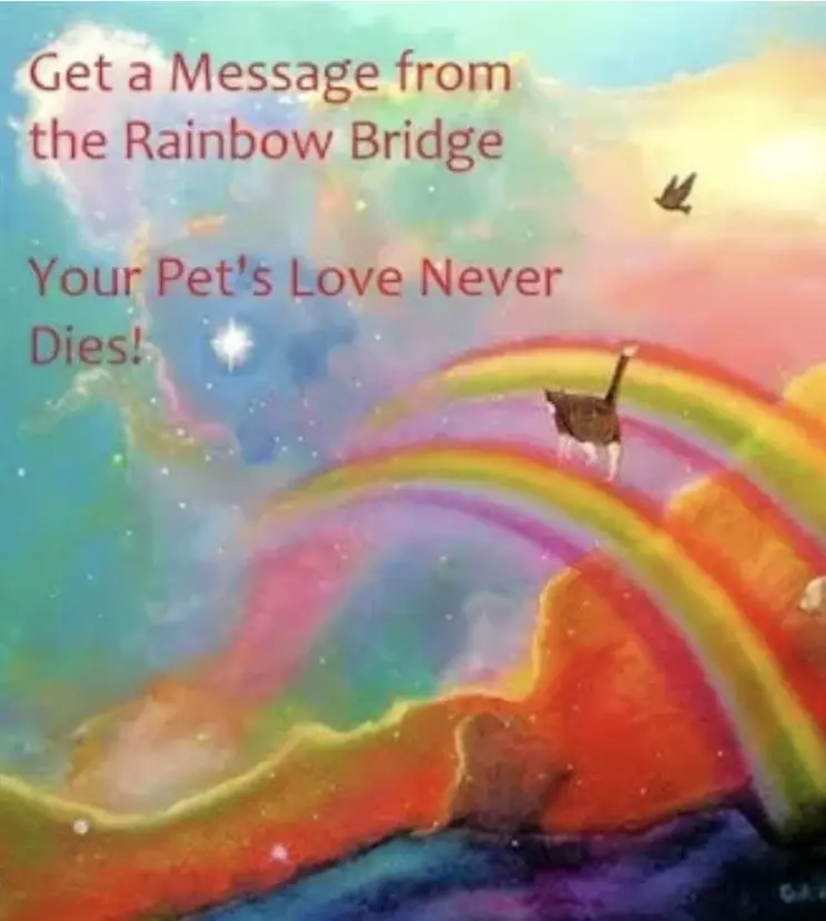 Condolence image of An Timmy und Tanja