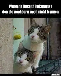 Condolence image of Jutta mit Flash im ❤️❤️