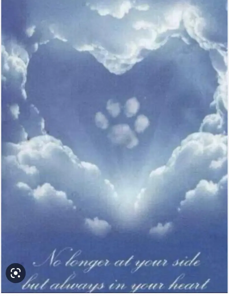 Condolence image of An Timmy