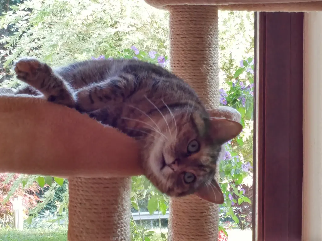 Condolence image of Daniela mit Pauline im ♥️ 