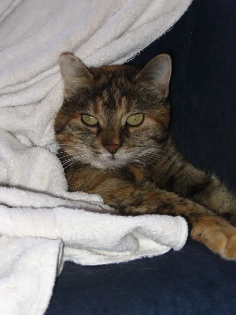 Condolence image of Annemarie und Elke mit Snoopy im Herzen gest.04.01.2022