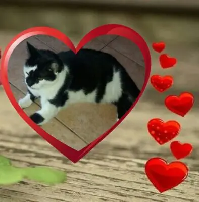 Condolence image of Annemarie und Elke mit Snoopy im Herzen gest.04.01.2022