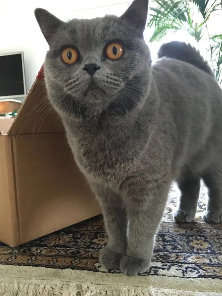 Condolence image of An Timmy und Tanja