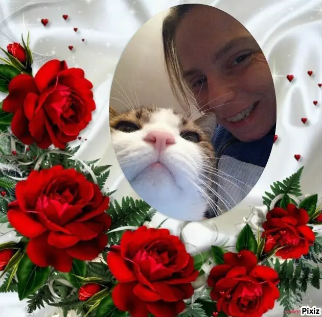 Condolence image of Deine Katzenmutti Tanja ❤