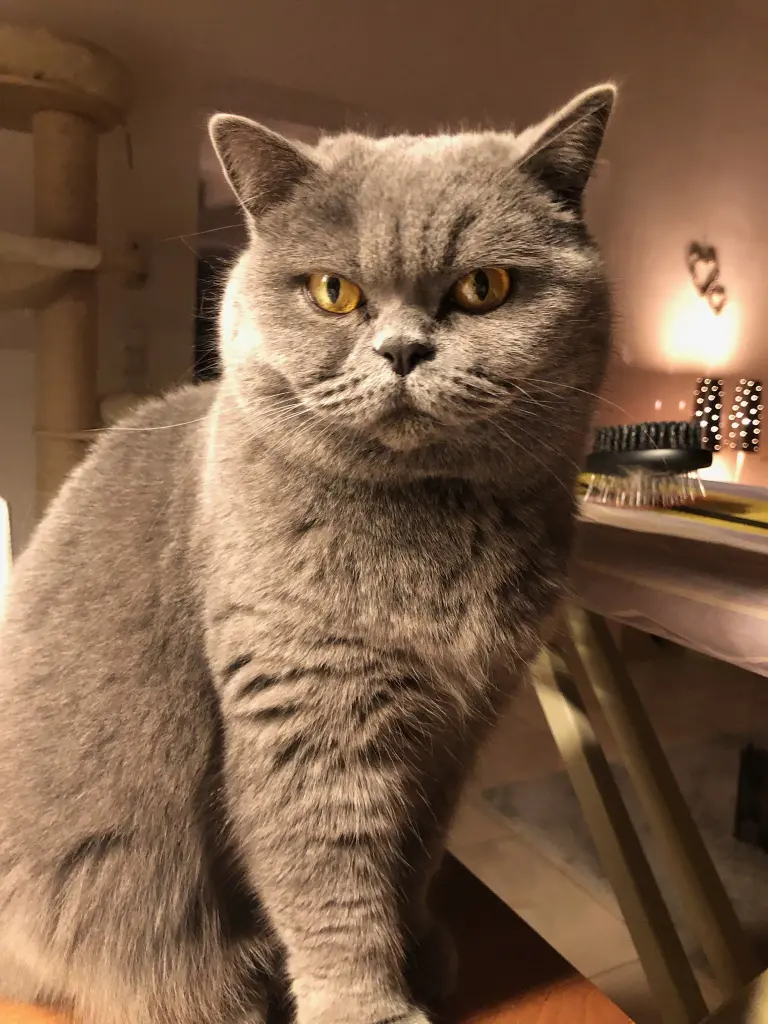 Condolence image of An Timmy und Tanja