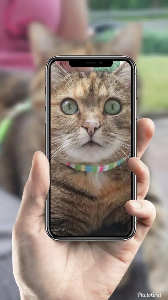 Condolence image of Daniela mit Pauline im ♥️