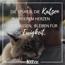 Condolence image of Snoopy ❤Pünktchen 