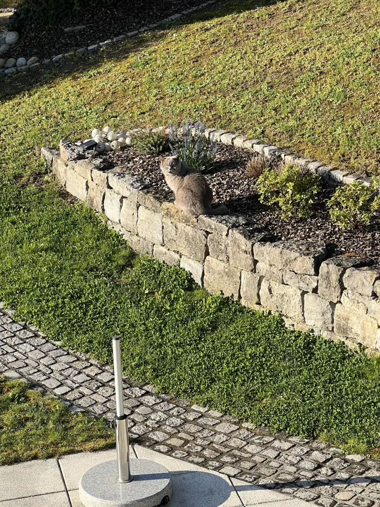 Condolence image of An Timmy und Tanja