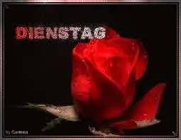 Condolence image of Snoopy ❤Pünktchen