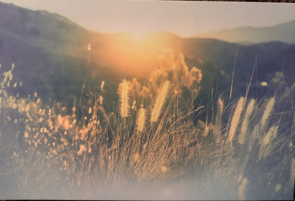 Condolence image of Corinna mit Emma, Pummelchen und anderen Sternlein im ❤️