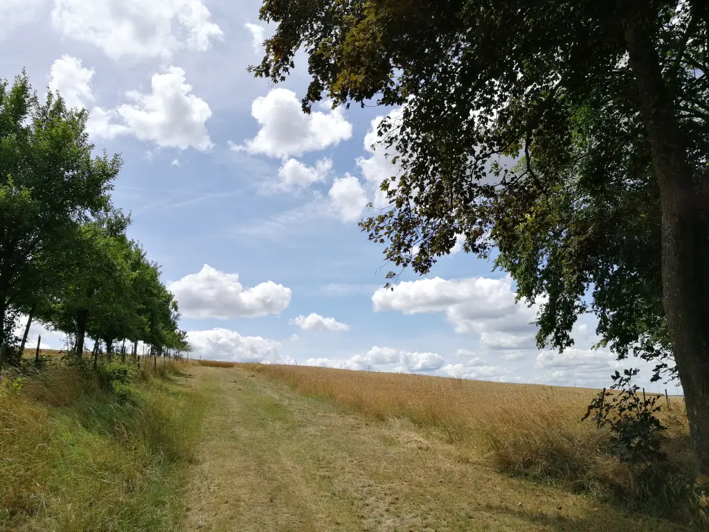 Condolence image of Daniela mit Pauline im ❤️