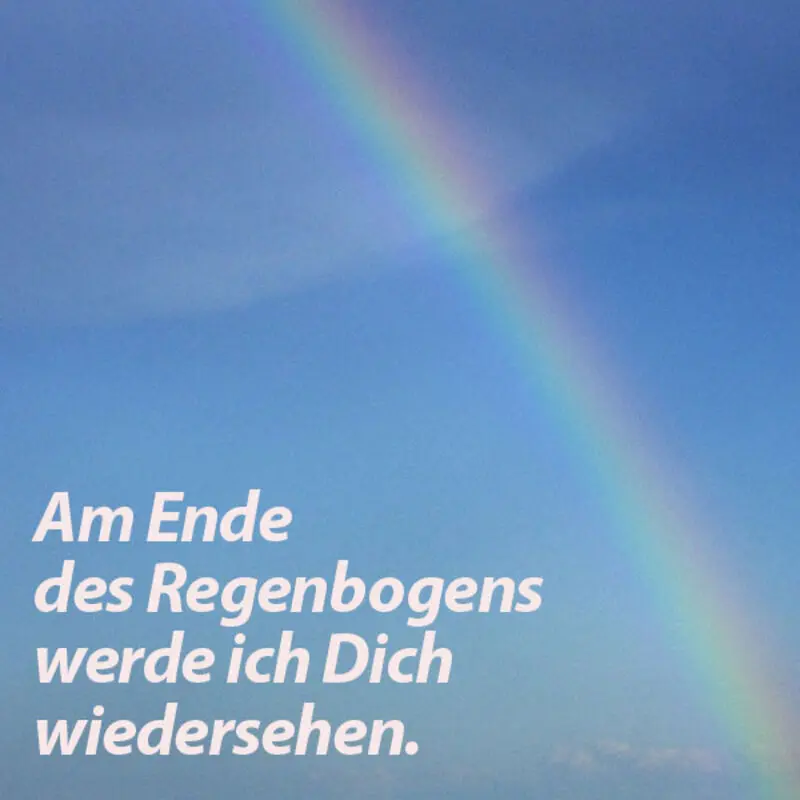 Condolence image of Snoopy ❤Pünktchen 